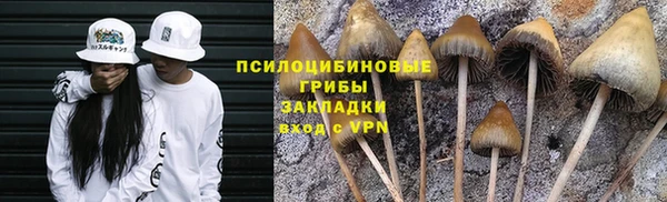 герыч Володарск