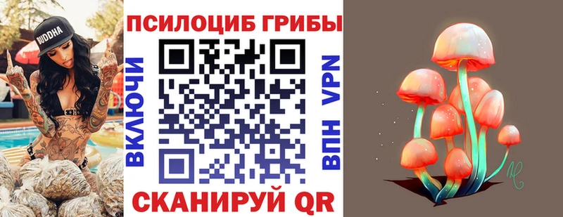 Галлюциногенные грибы мицелий  даркнет сайт  Назарово 