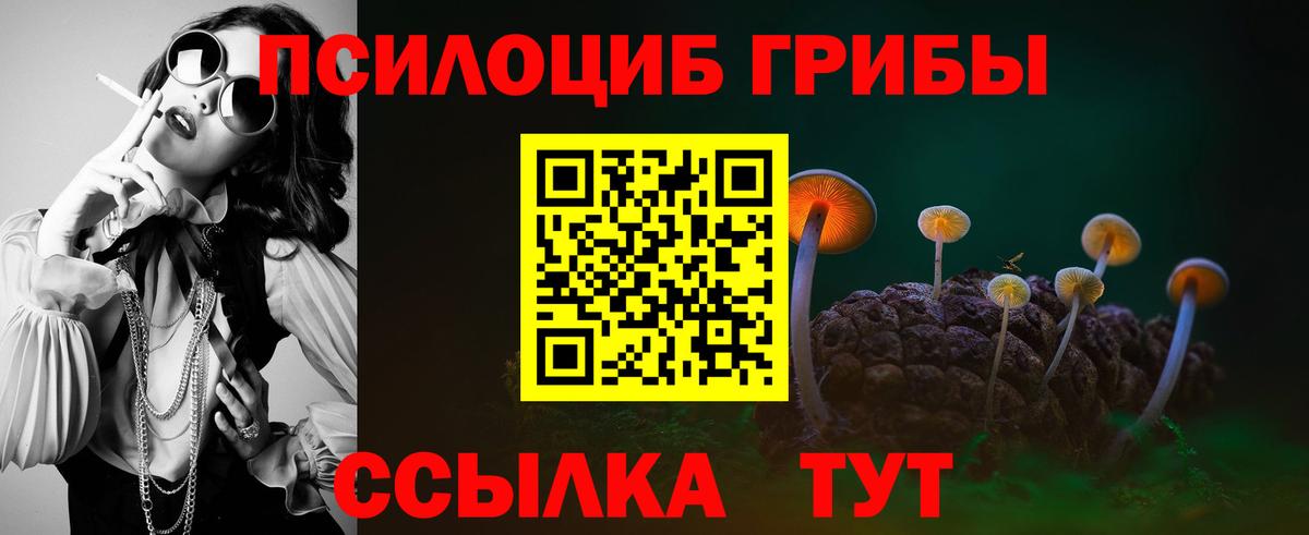 Псилоцибиновые грибы MAGIC MUSHROOMS Назарово